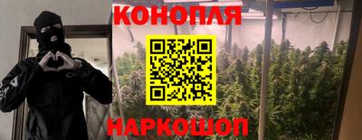 мдма Можга
