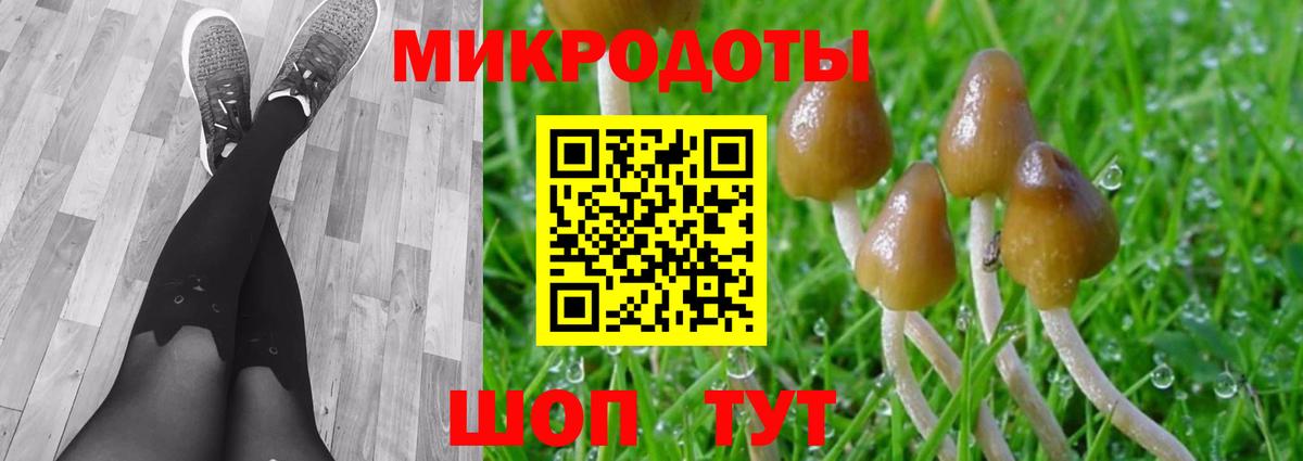 Усть-Илимск  Псилоцибиновые грибы Psilocybe  Псилоцибиновые грибы Psilocybine cubensis  Вход с VPN 